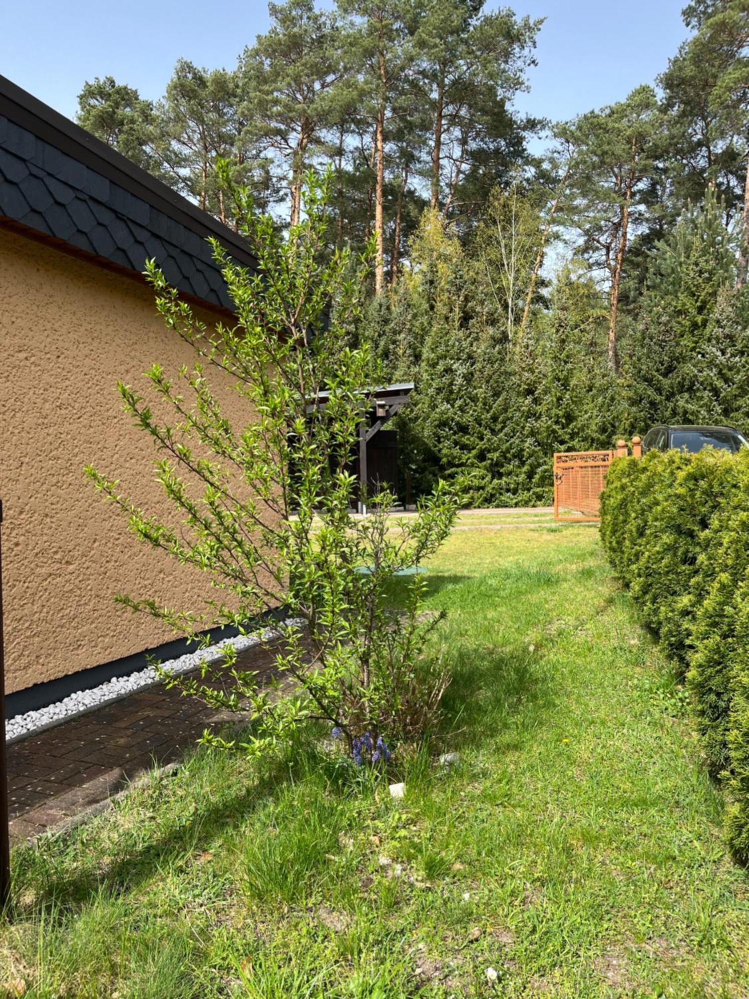 Ferienhaus Fjola Schenkendobern Εξωτερικό φωτογραφία