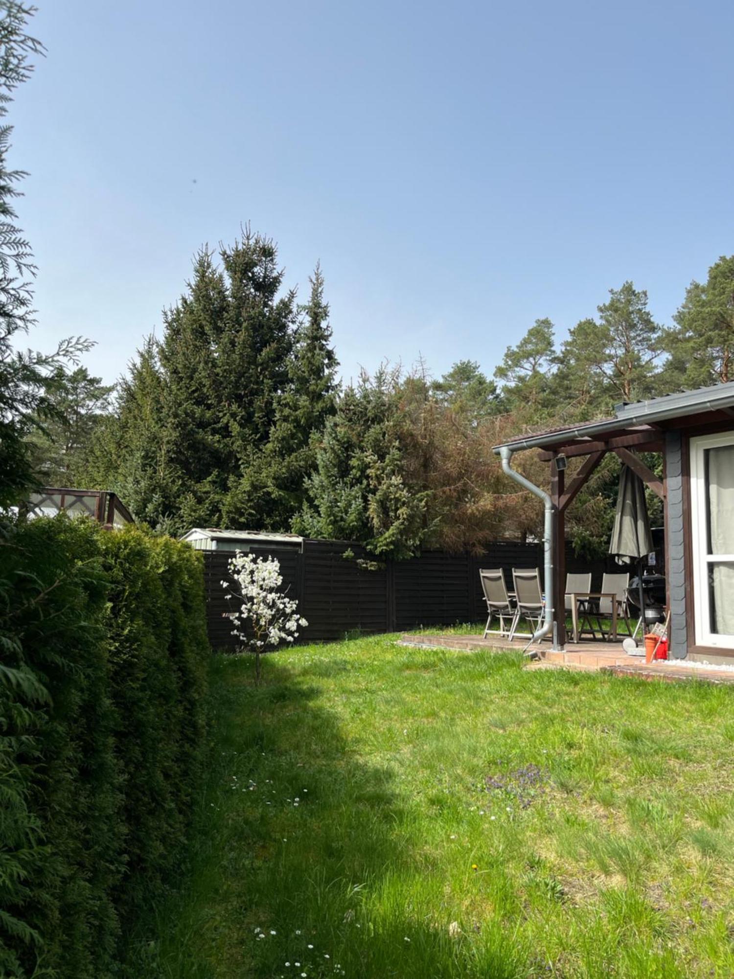 Ferienhaus Fjola Schenkendobern Εξωτερικό φωτογραφία